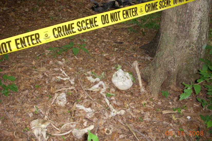 HD Wallpaper and background photos of Forensic Anthropology for fans of  Forensic Anthropology images.
