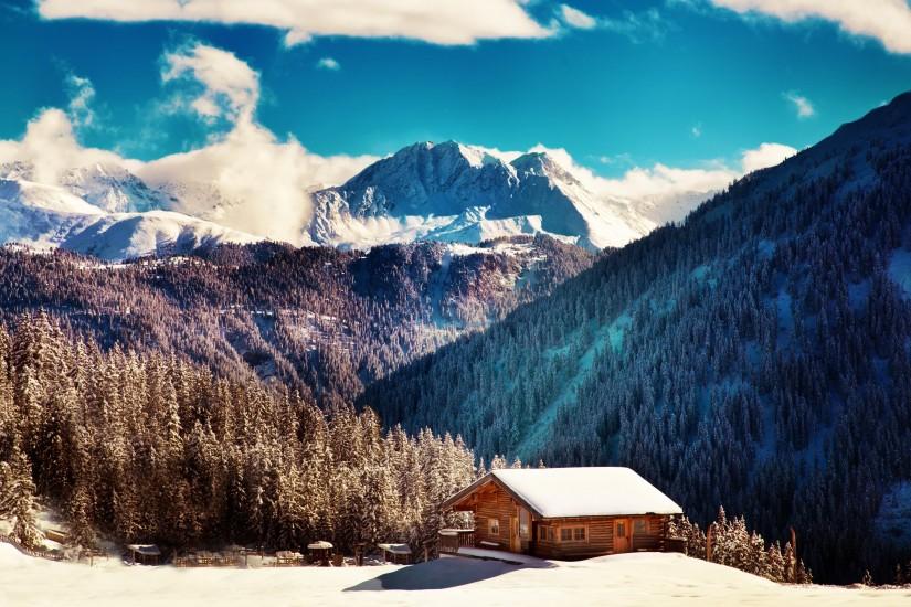 Dandelion 4K Ultra HD Wallpaper | Ultra 4K Wallpaper 5: Winter nature in  Tirol