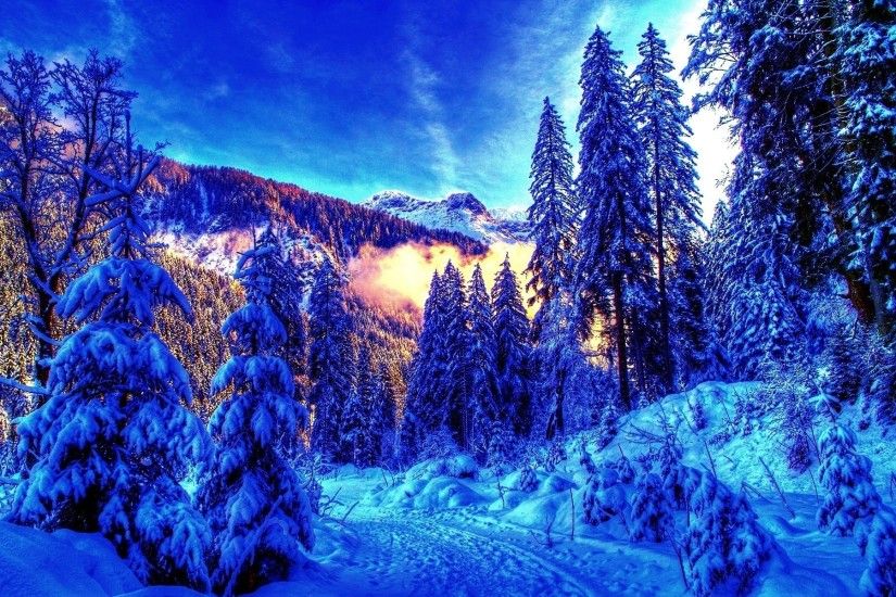 Winter Landscape Bright Background