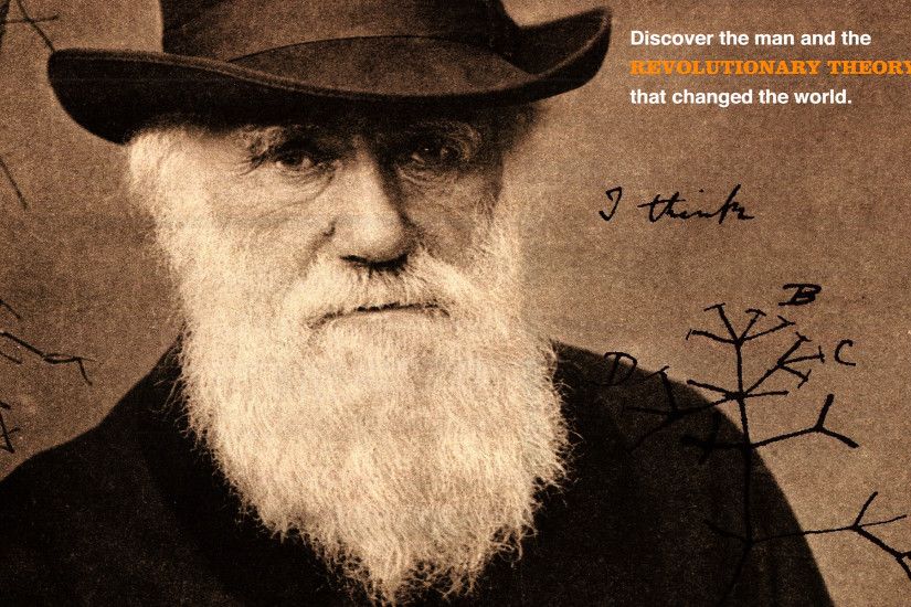 Men - Beard Charles Darwin Wallpaper
