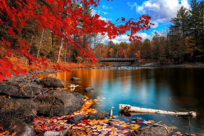 Fall Foliage Wallpapers For Desktop - Wallpaper Cave ...