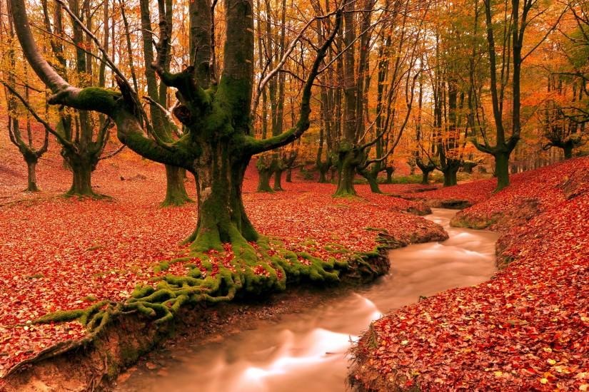/images-of-autumn-desktop-wallpapers-free-