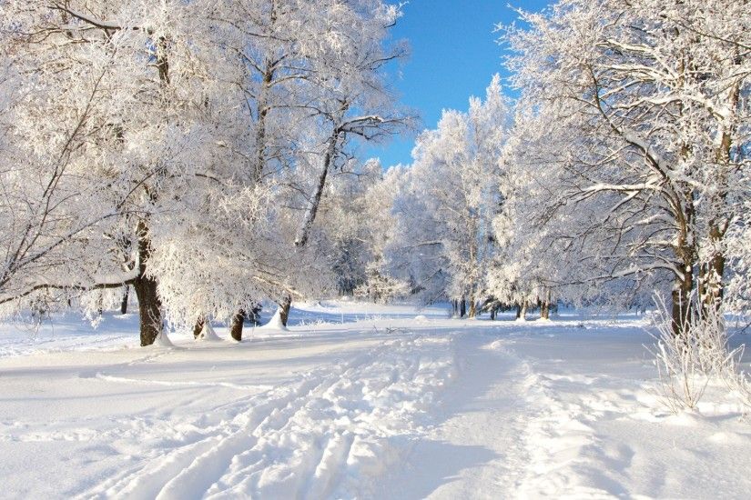 Winter Nature Wallpaper Images