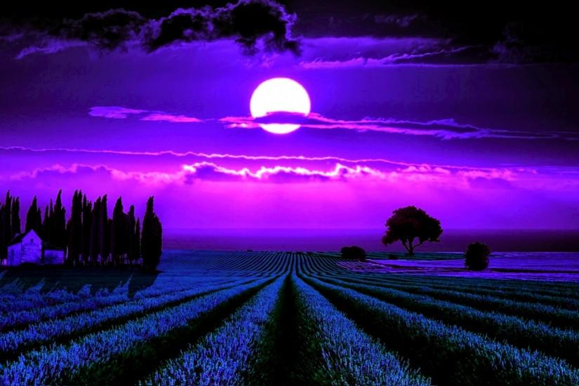 Moonlight Lavender wallpapers and stock photos