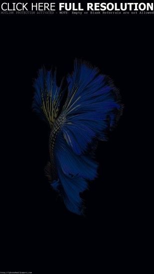 Apple IOS9 Fish Live Background Dark Blue Android wallpaper - Android HD  wallpapers