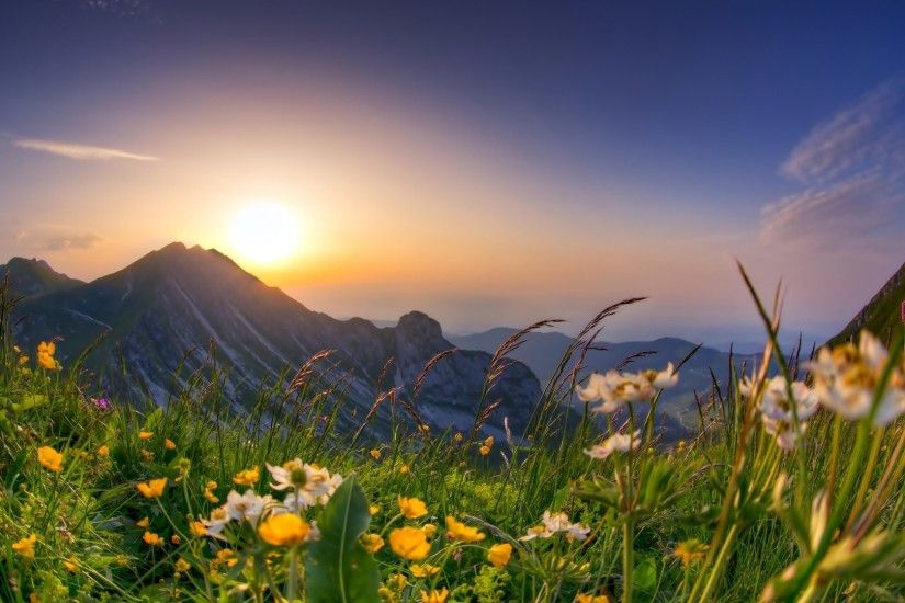 Sunrise, Flowers, Mountains, Spring, Meadow