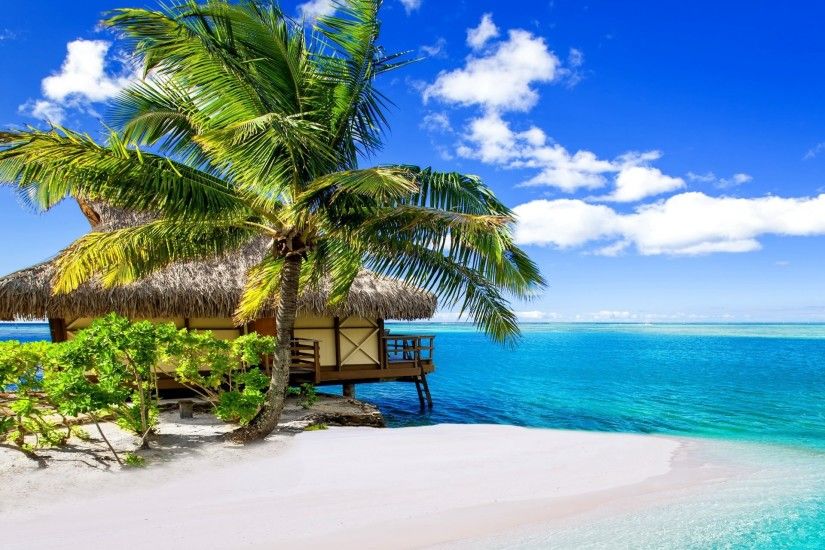 tropical paradise beach palms sea ocean sunshine summer vacation beach sea  palm tropics sand beach
