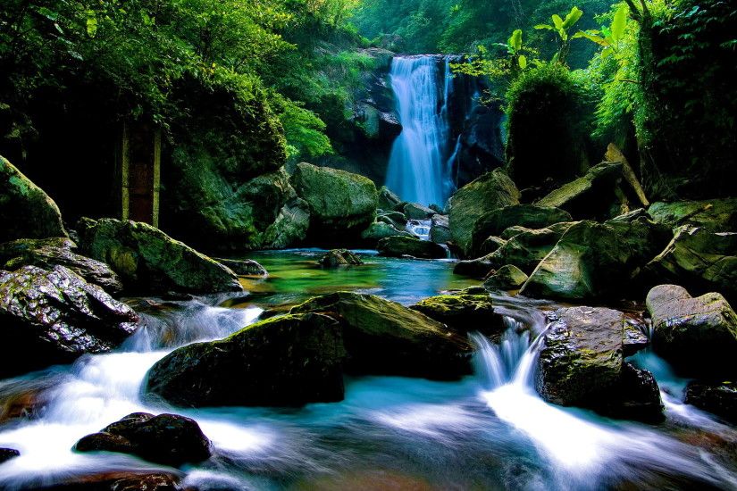 ... Widescreen Forest Waterfall Full Hd On Nature Status Size 600 Pics .