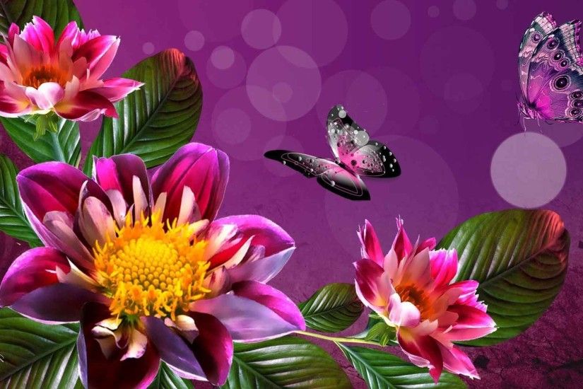 Flowers Dahlia Digital Butterfly Nature Wallpaper Desktop Background Full  Screen