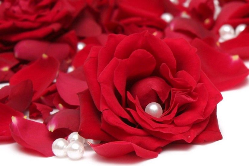 ... Red Rose Desktop Wallpapers Group (92 ) Hd Rose Flower ...