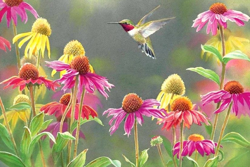 Bird Flowers Spring Hummingbird Flower Hd Image Wallpaper - 1920x1440