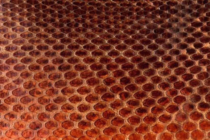 Honeycomb [5] wallpaper 2560x1600 jpg