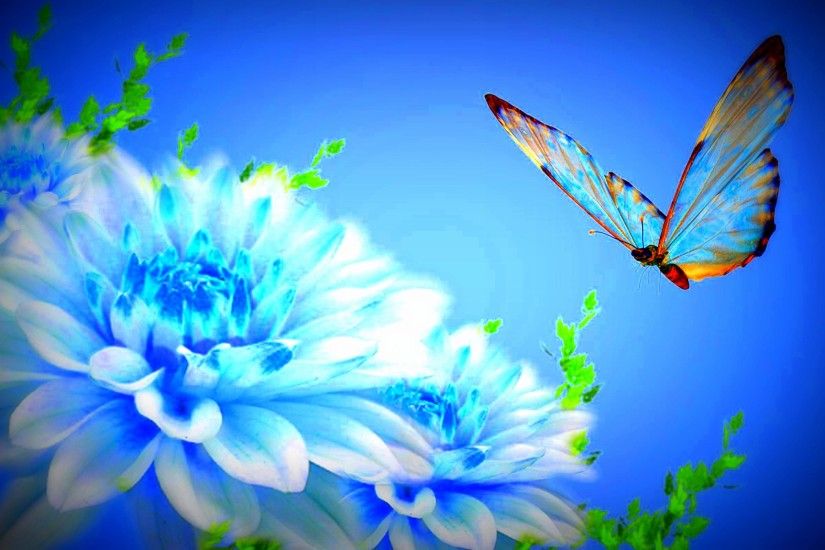 Backgrounds Flowers Pretty Blue Flower Graphic. Best 25 Blue Flowers Ideas  On Delphinium