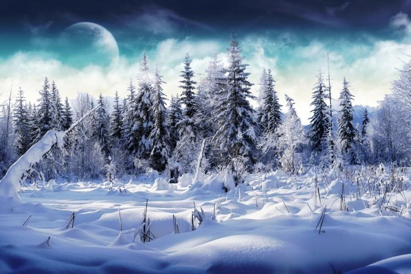 winter wonderland wallpapers background 1920x1200
