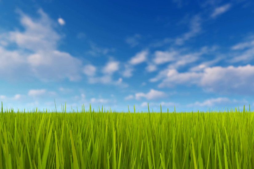 Simple natural background with closeup of fresh green grass field and blue  sky with blurred clouds at spring day 4K Motion Background - VideoBlocks
