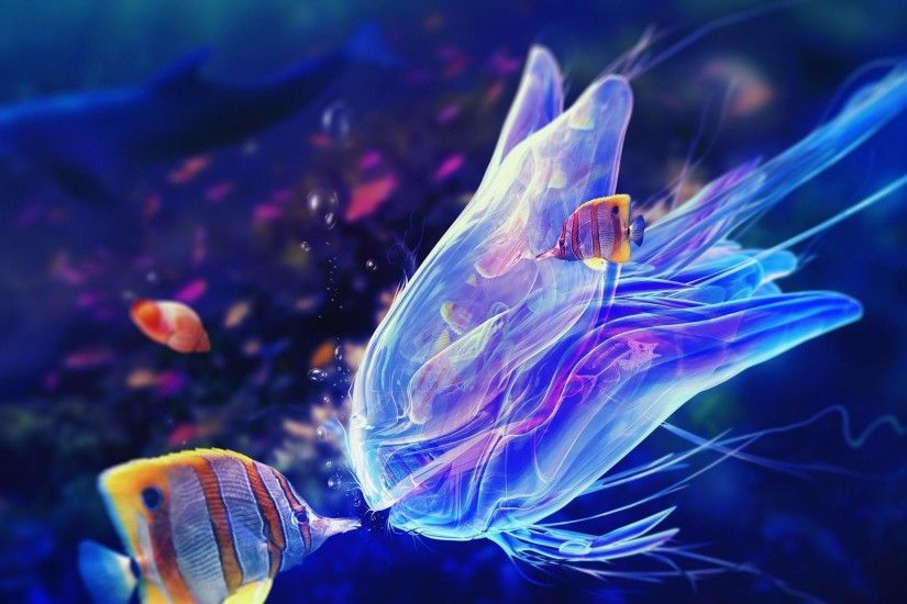 Rainbow Jellyfish Wallpaper High Quality with High Resolution Wallpaper  2880x1800 px 395.76 KB