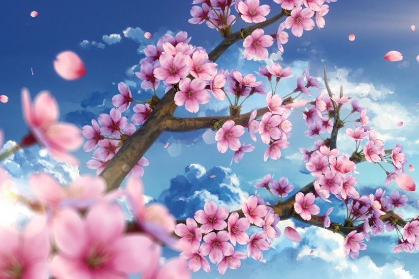 2000x1126 Cherry Blossom Scenic Petals Sky Sakura Wallpaper At Fantasy  Wallpapers