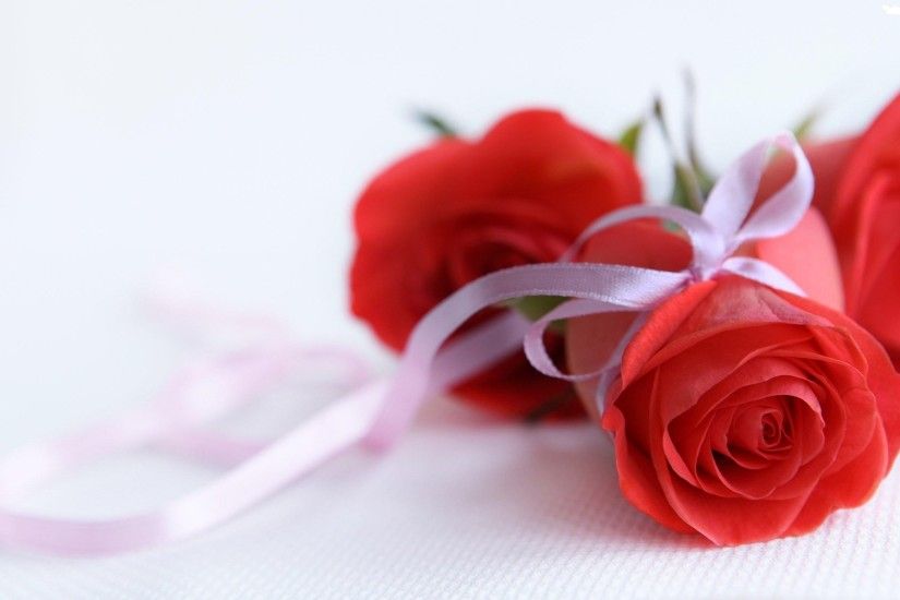 Rose Love Flower Desktop Wallpaper