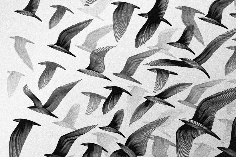 ... Black and white flock HD Wallpaper 1920x1200