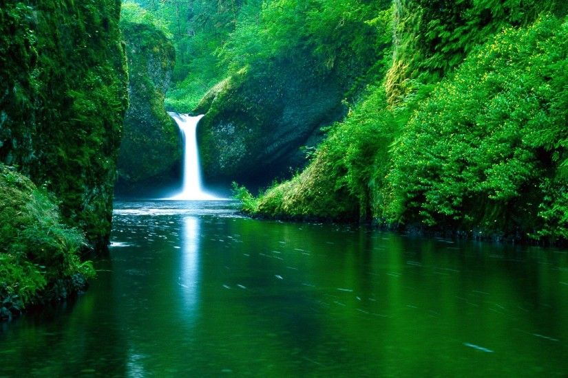 Earth - Waterfall Forest Water Green Earth Wallpaper