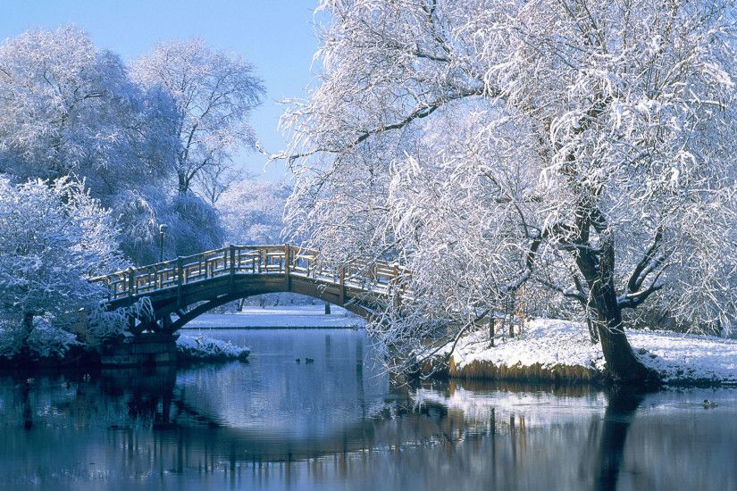 Photography - Winter Landscape Pond Water Bridge Tree Reflection Snow  Wallpaper