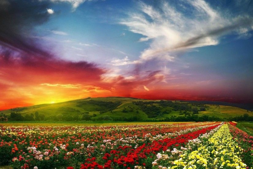 flower garden background wallpaper 3 flower garden background wallpaper 4  ...