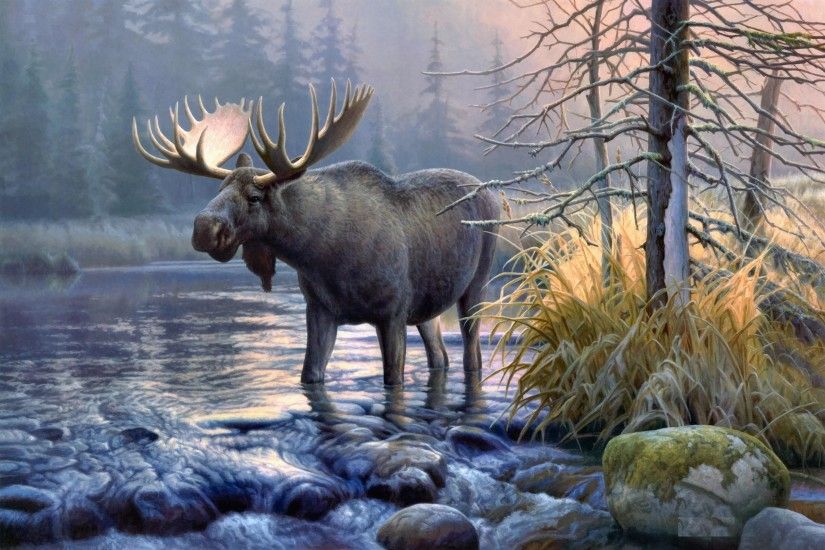 Wildlife Â· Moose HD Wallpapers | Moose Desktop ...