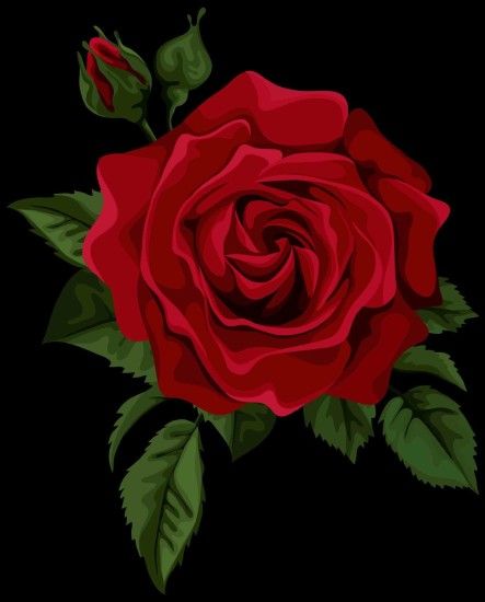 Tablet awesome earth transparent red rose tumblr rose wallpapers desktop  phone tablet awesome single red png .