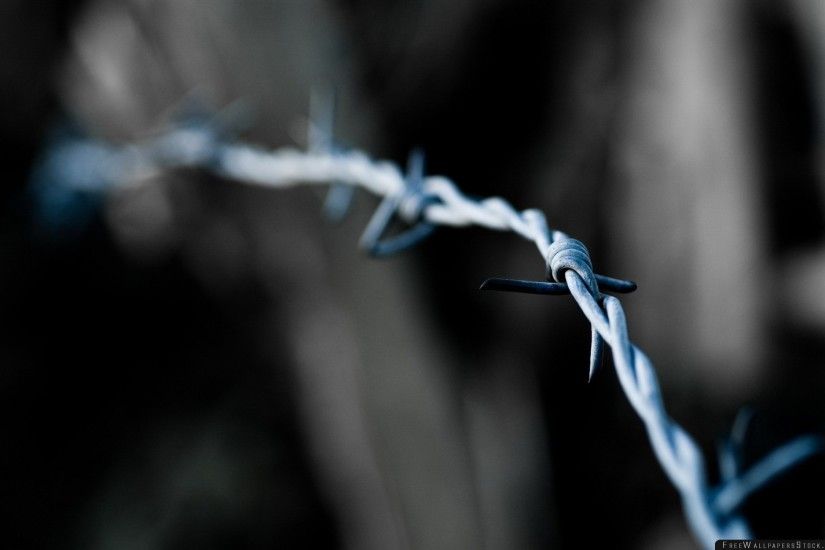 Download Free Wallpaper Barbed Wire Metal Twisted