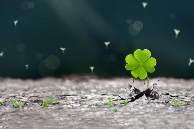 In the West that can find four leaf clover is lucky, in Japan that will get  happiness, so it is also called the lucky grass.