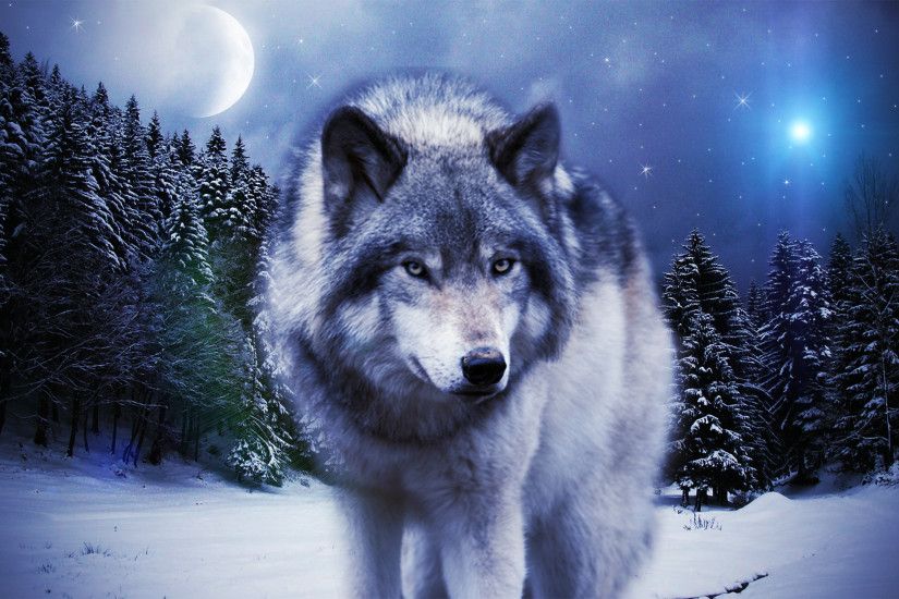 Dudespie images Wolves HD wallpaper and background photos