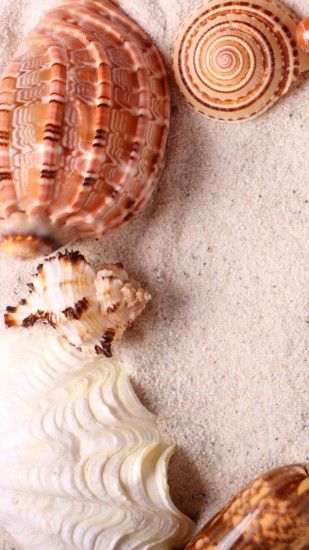 1440x2560 Wallpaper seashells, frame, sand