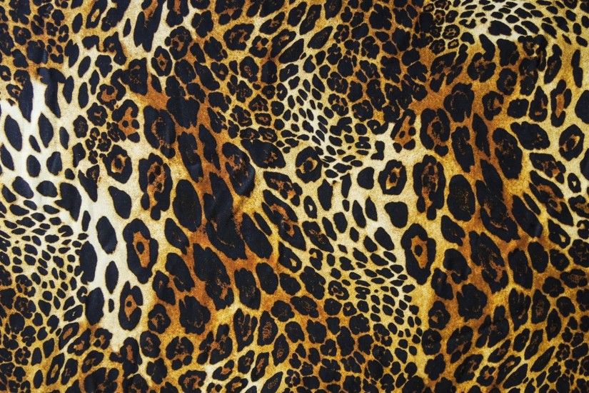 Leopard Print wallpapers