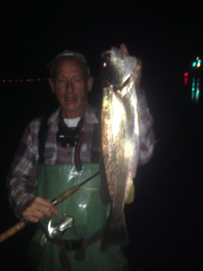 Ed Tiese holds up a summer tide-runner weakfish. for a picture . Ed's