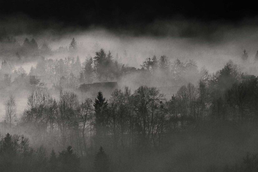 Misty Landscape 233824