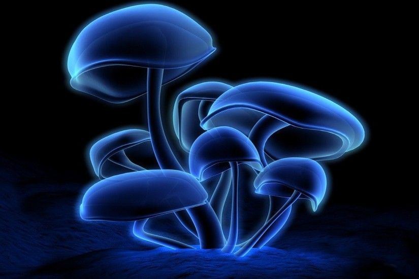 Blue Mushroom Desktop Wallpaper ...