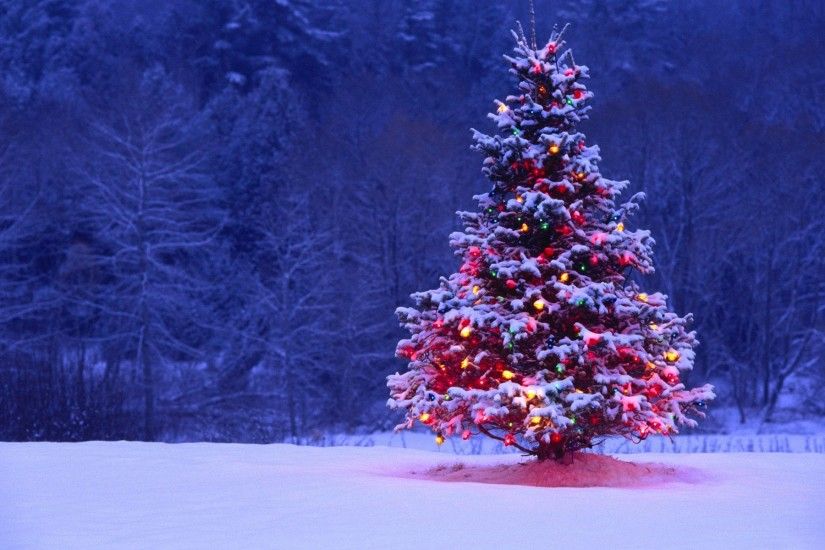 Christmas Tree HD Wallpaper Free Download