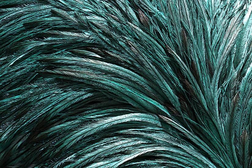 Turquoise Ostrich Feather Background