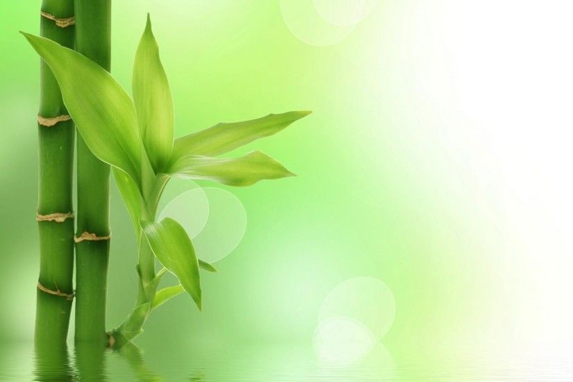 bamboo background powerpoint background #9892