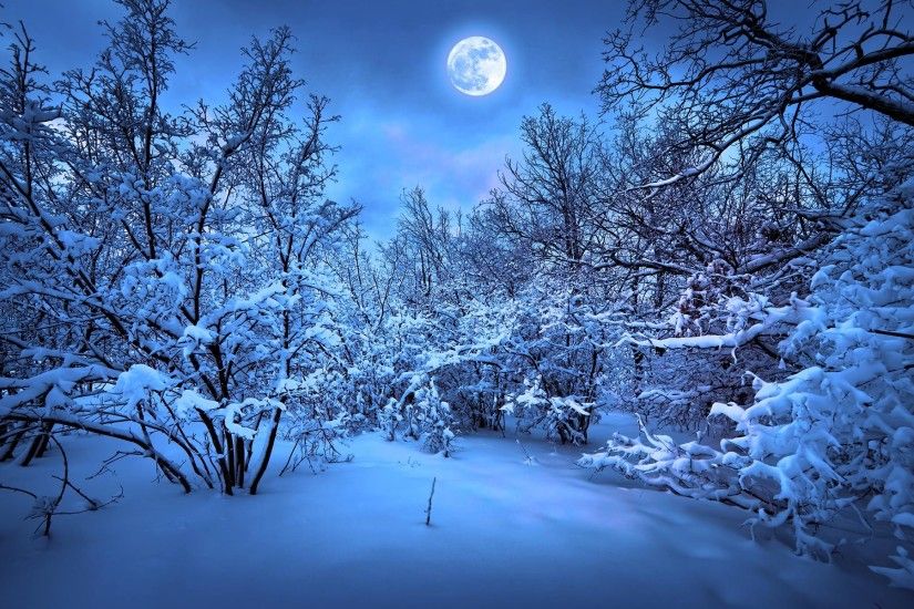 ... Snow HD Wallpapers 3 ...