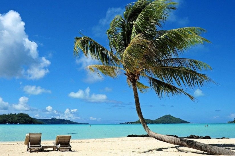 Tahitian Polynesia Sand Sea Beach Beachchairs Palm Desktop Background For  Mac Detail