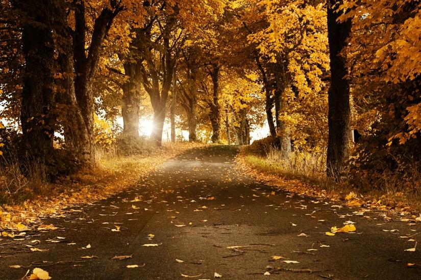 Free Scenery Wallpaper - Shows an Autumn Scene, Hope Lies Not Far Away .