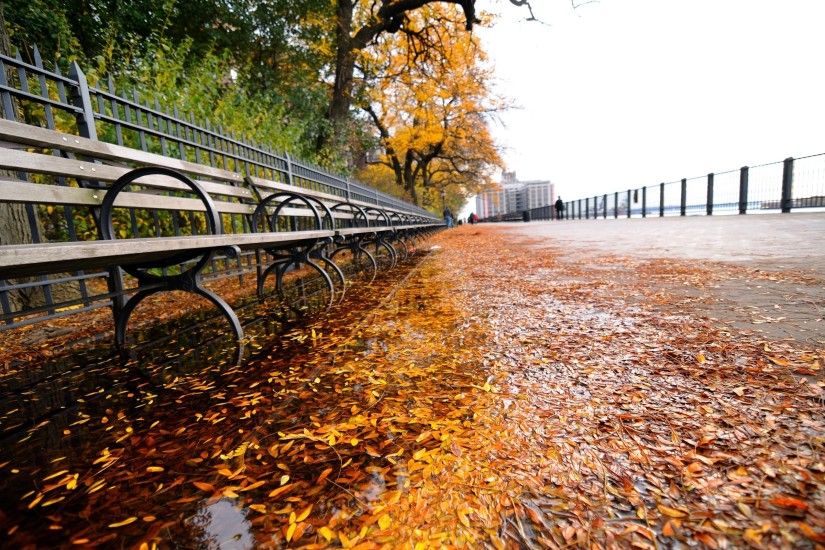new york waterfront autumn scene
