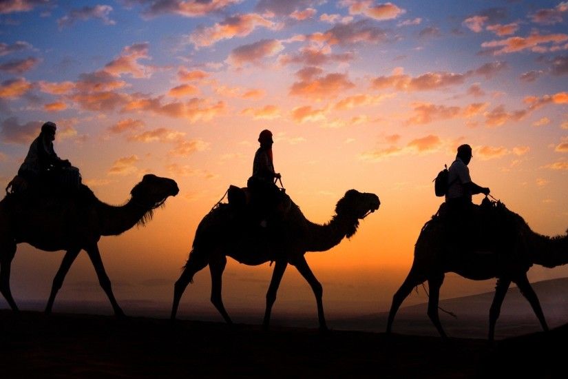 Morocco, Camelcade, Caravan, Camels