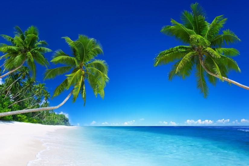 Tropical Beach Paradise 5K