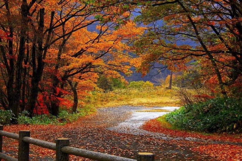 autumn-scenery-wallpaper scenery wallpaper HD free wallpapers .