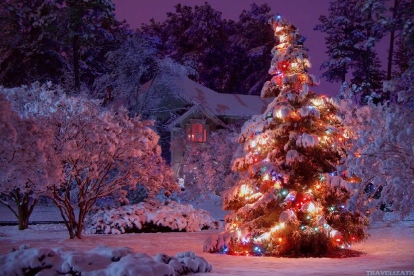 Christmas Lights Tree HD Wallpaper