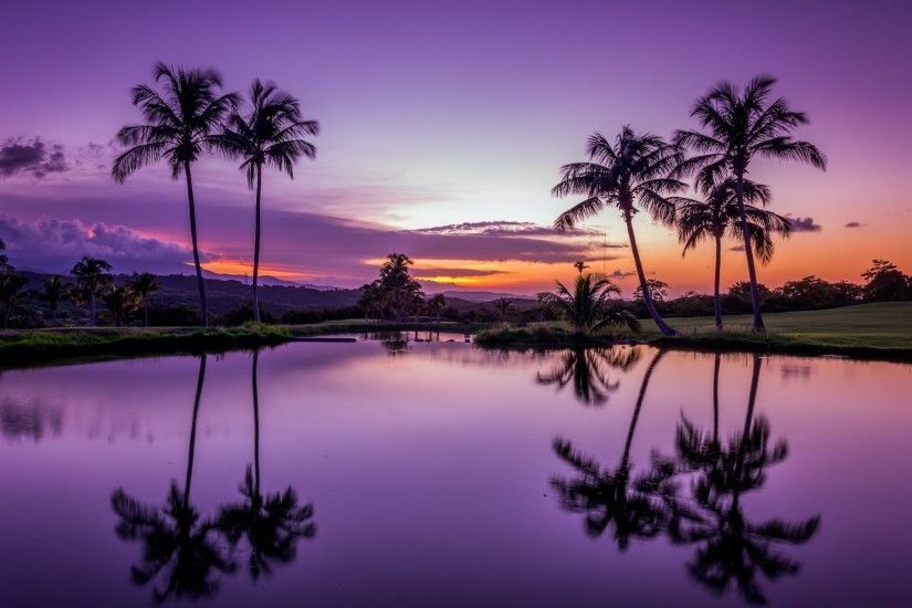fajardo puerto rico fajardo puerto rico tropics palm sunset water reflection