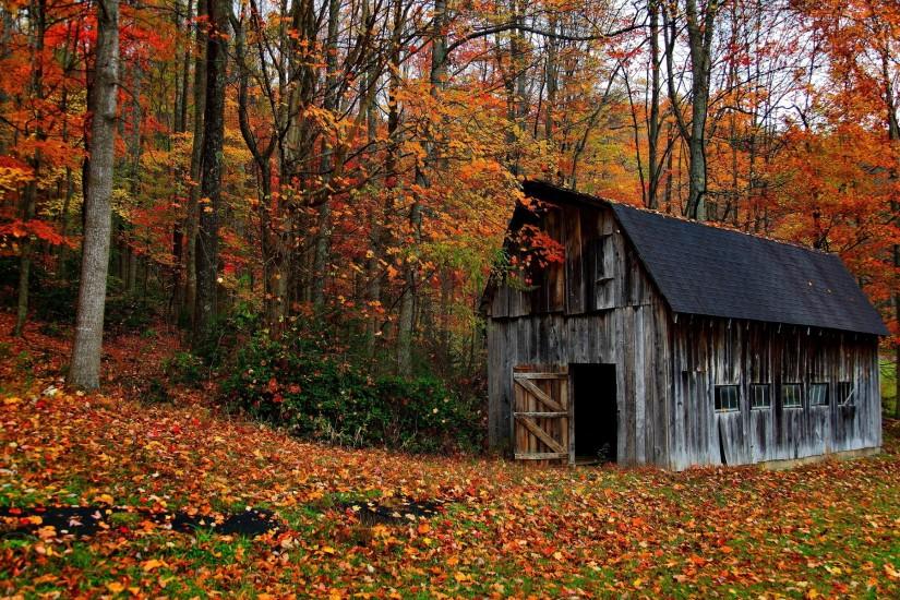 barn decay ruin retro autumn fall leaves rustic wallpaper background .