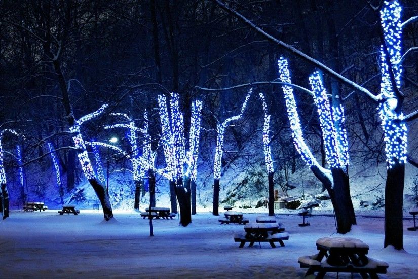 Christmas Tree Lights Winter Park Parks Nature Trees Desktop Backgrounds